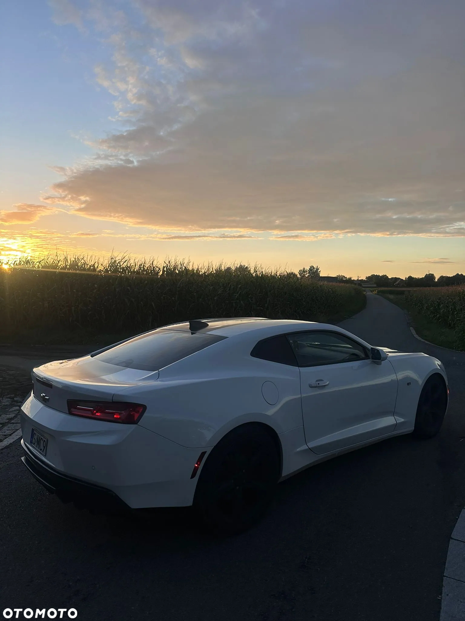 Chevrolet Camaro 3.6 V6 Coupe 2LT - 5