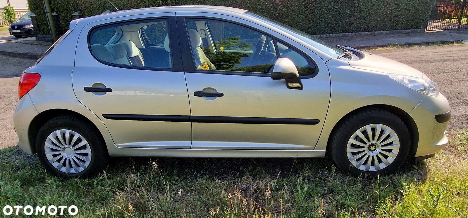 Peugeot 207 - 11