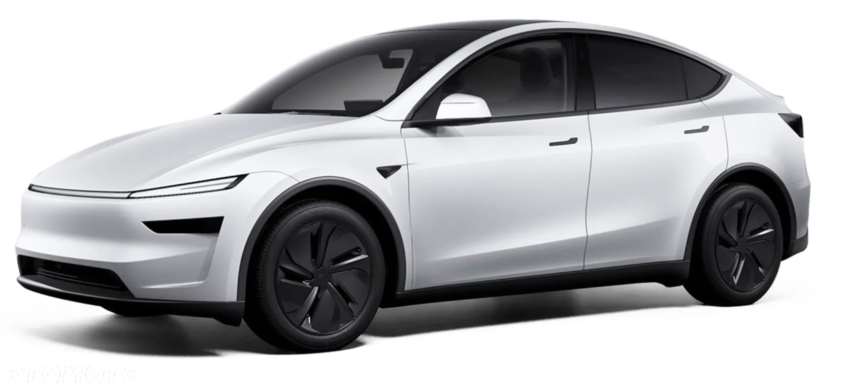 Tesla Y Long Range AWD - 2