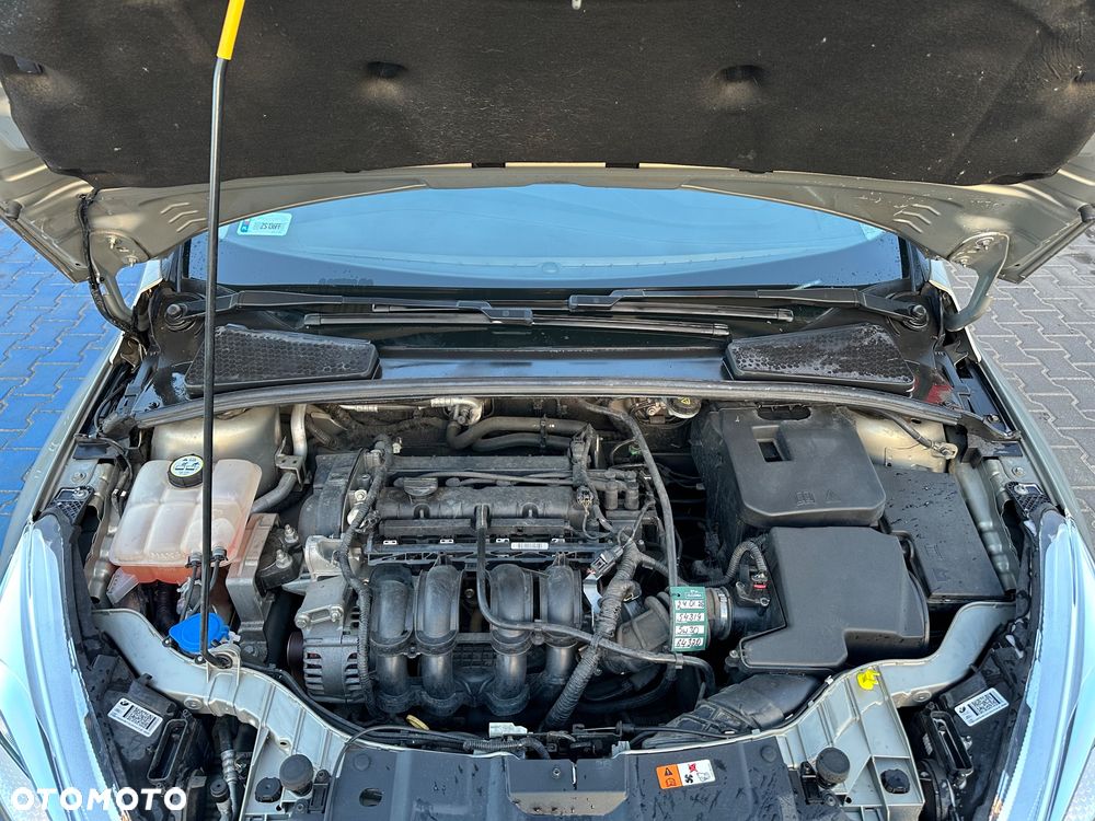 Ford Focus 1.6 Gold X (Trend) - 19