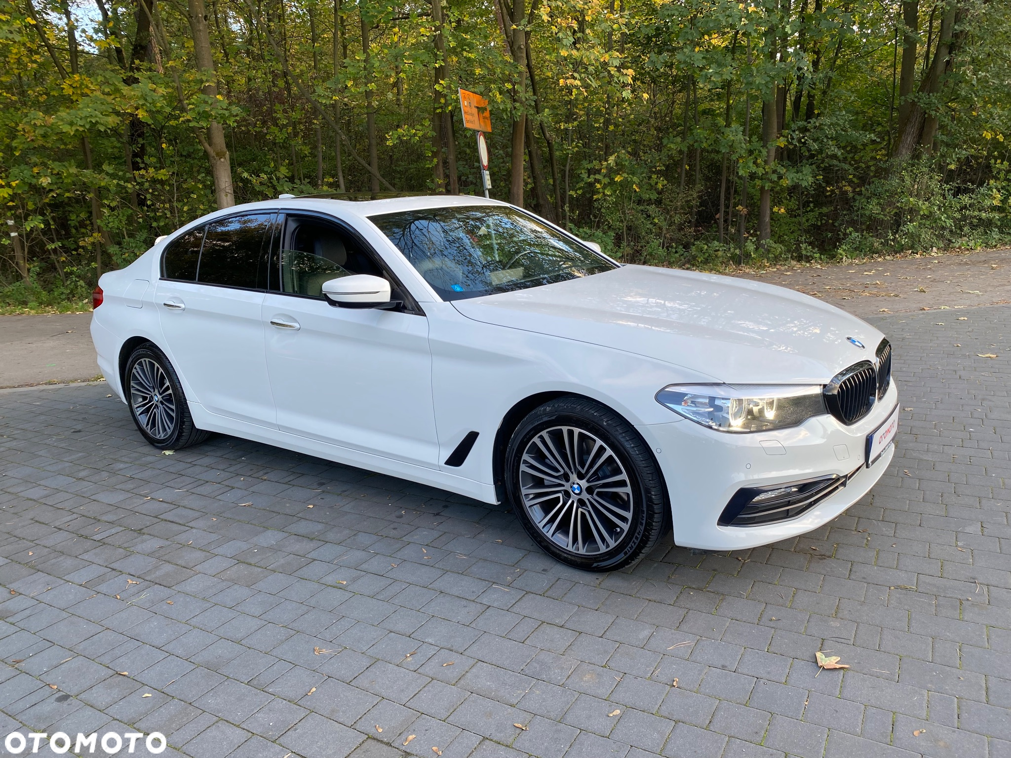 BMW Seria 5 520d xDrive Sport Line sport - 3