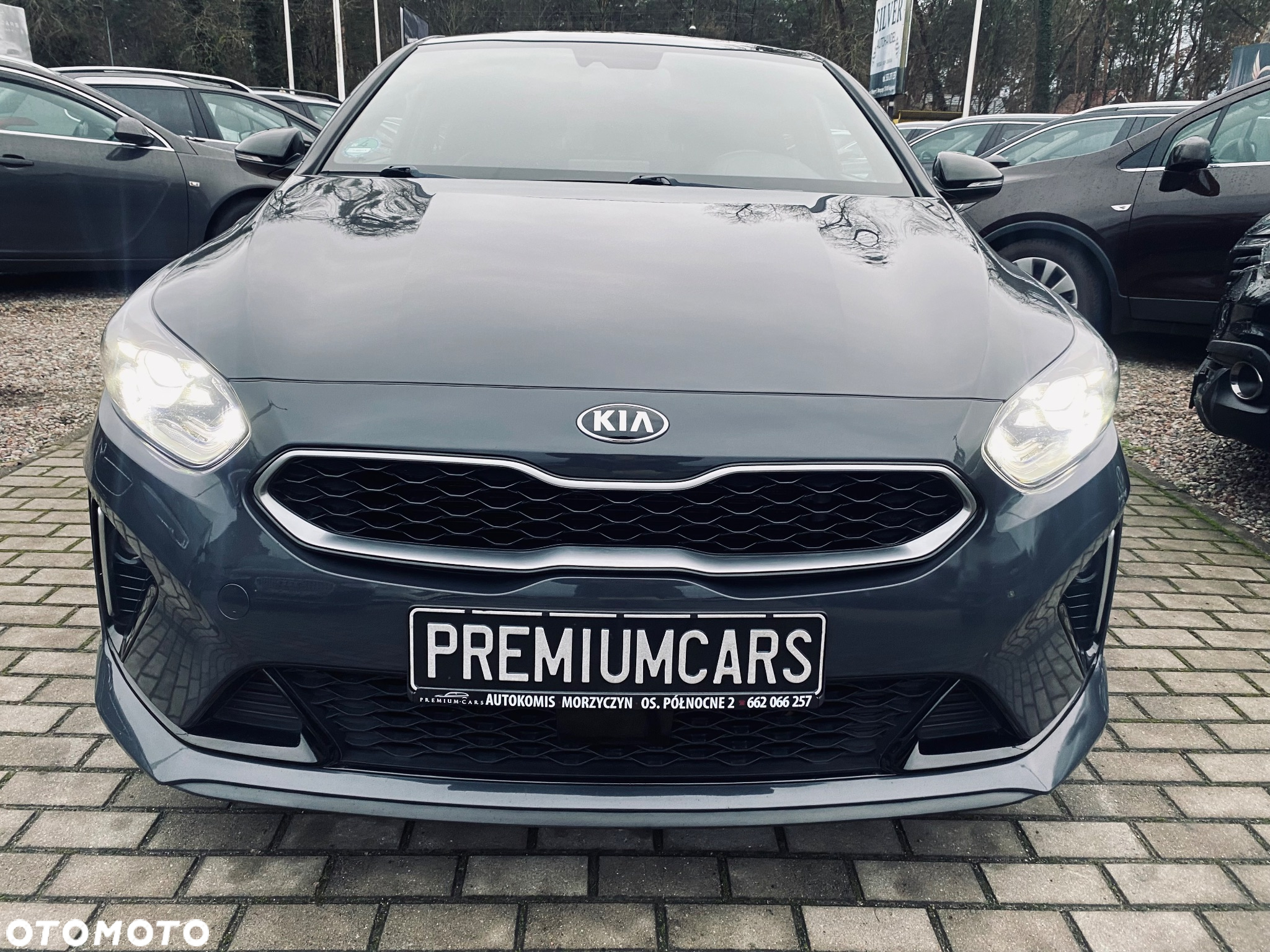 Kia ProCeed 1.4 T-GDI DCT7 OPF GT LINE - 2