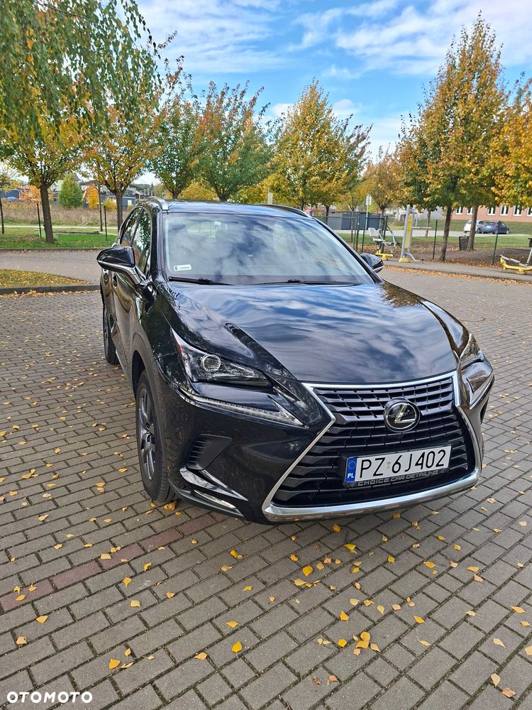 Lexus NX - 3