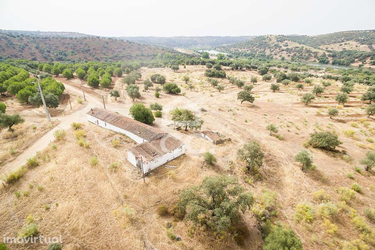 Herdade de 18,7 hectares com monte junto ao Guadiana | Serpa - Grande imagem: 5/60