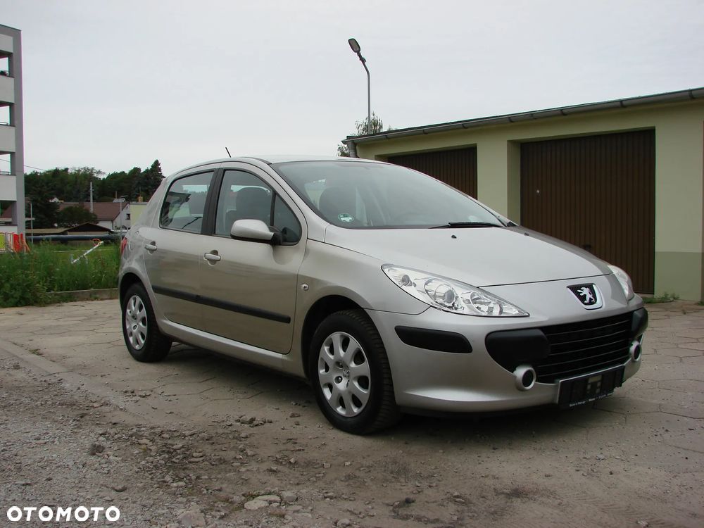 Peugeot 307 - 5