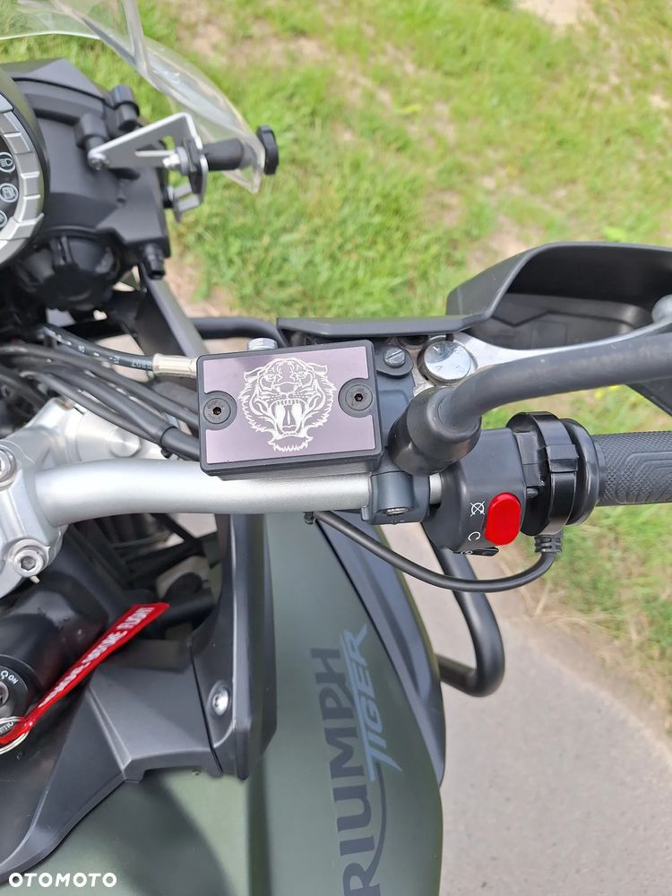 Triumph Tiger - 17