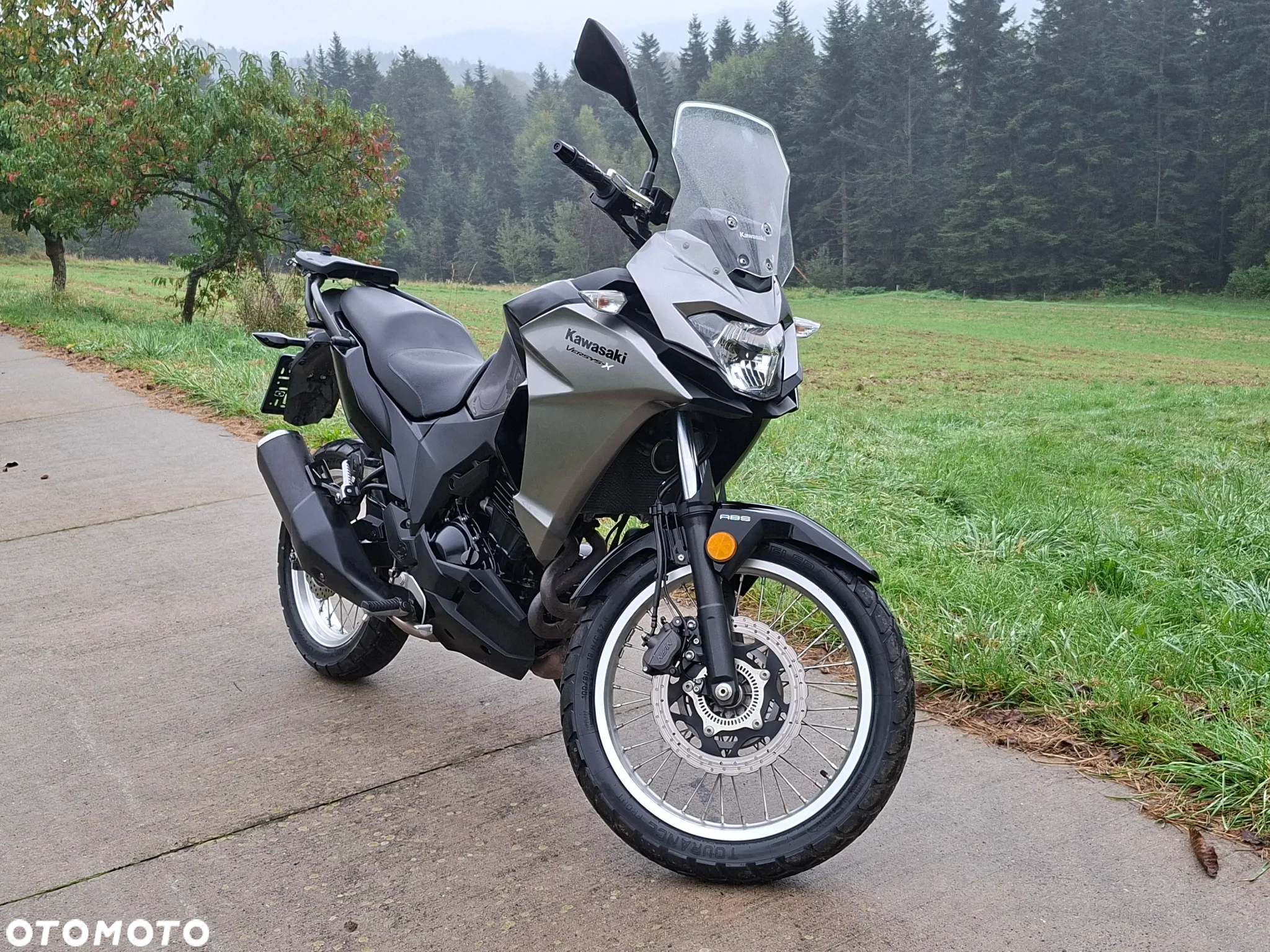 Kawasaki Versys-X 300 - 8