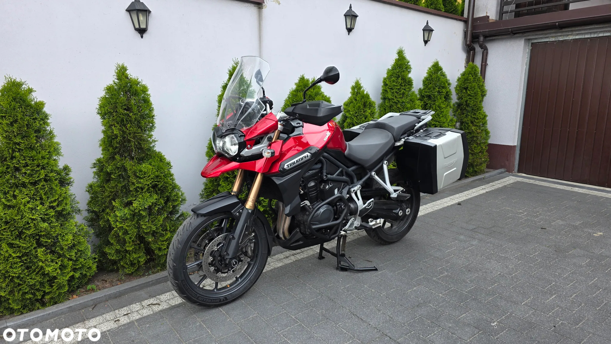 Triumph Tiger - 10