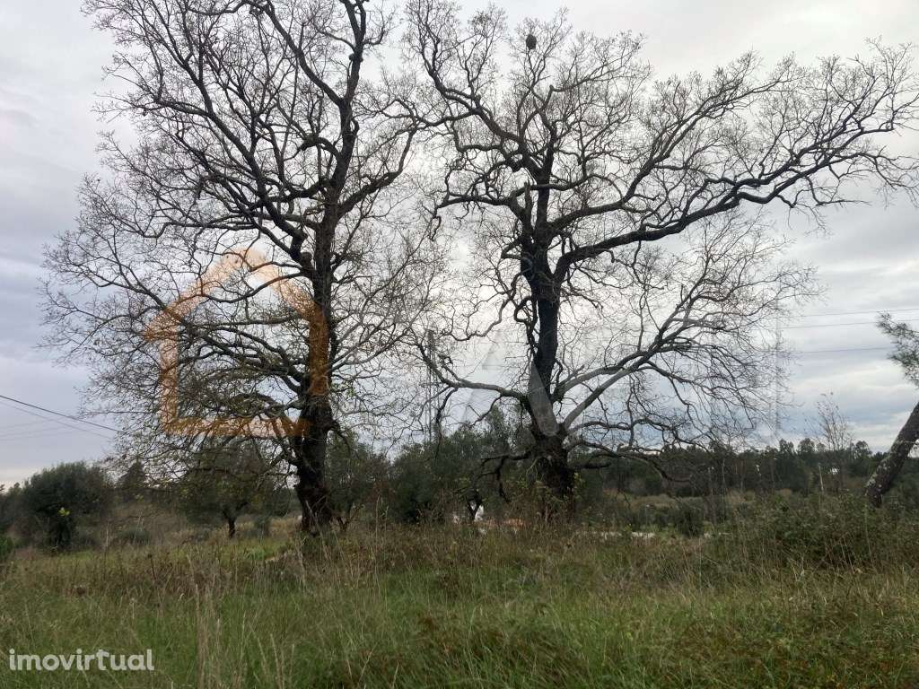 Moradia T4 em Condeixa - Grande imagem: 3/14