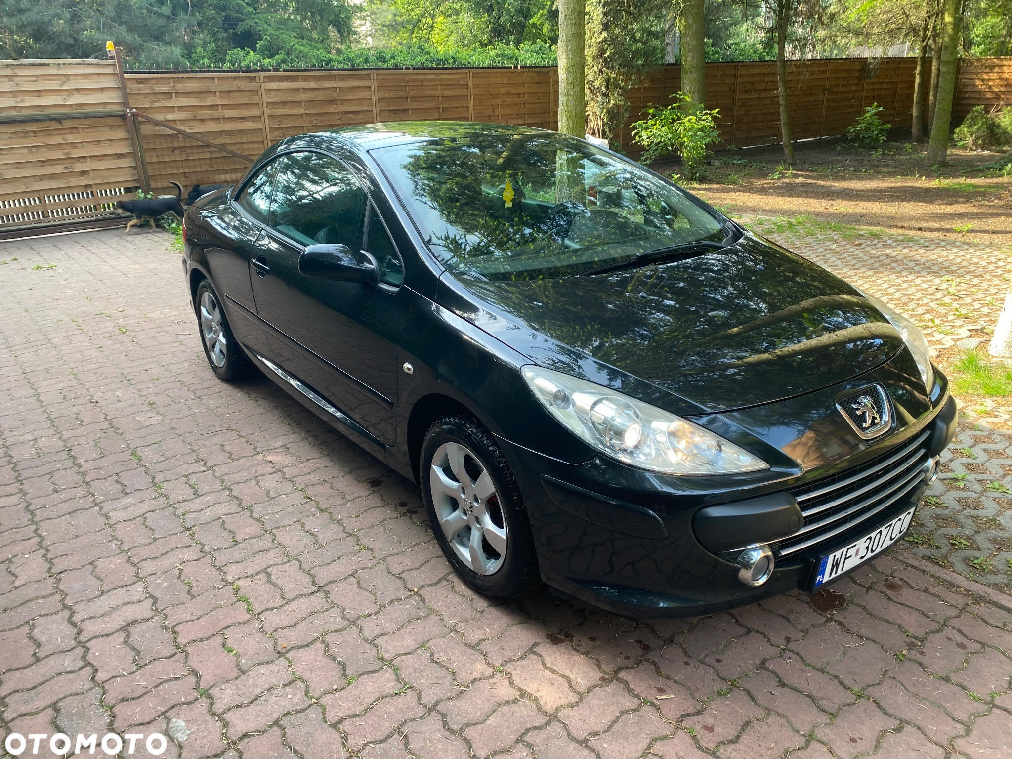 Peugeot 307 CC 2.0 Intense - 16