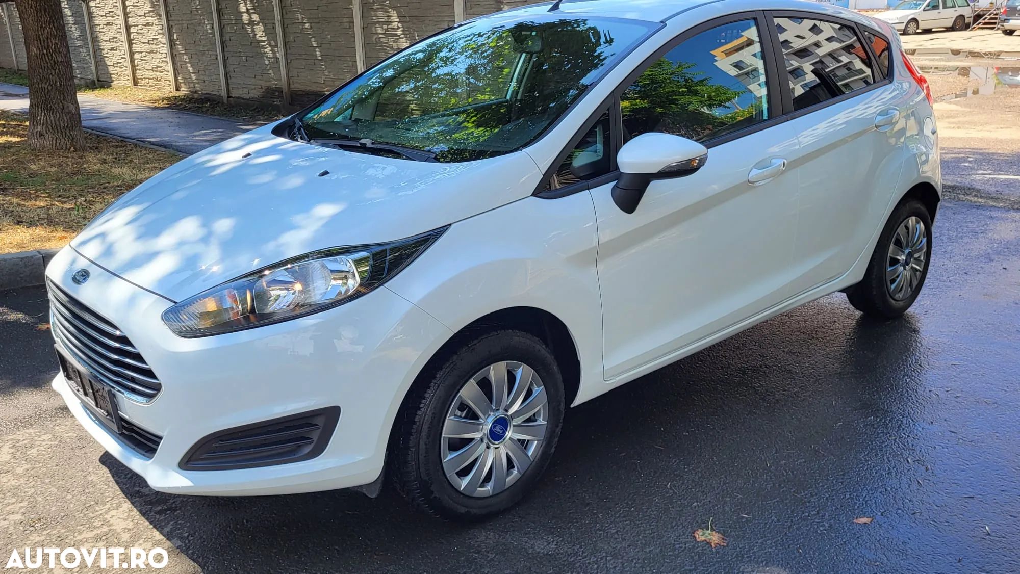 Ford Fiesta - 1