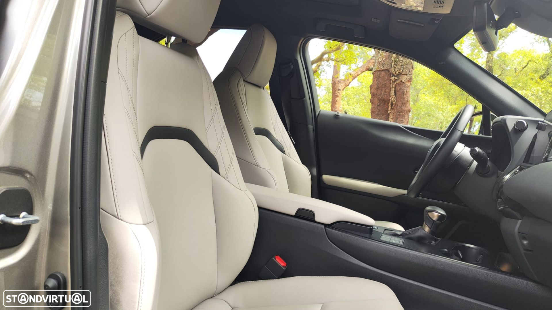 Lexus ux-250h Sport - 12