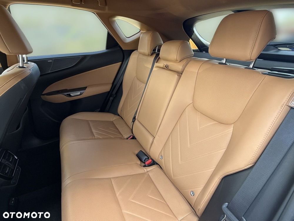 Lexus NX - 19