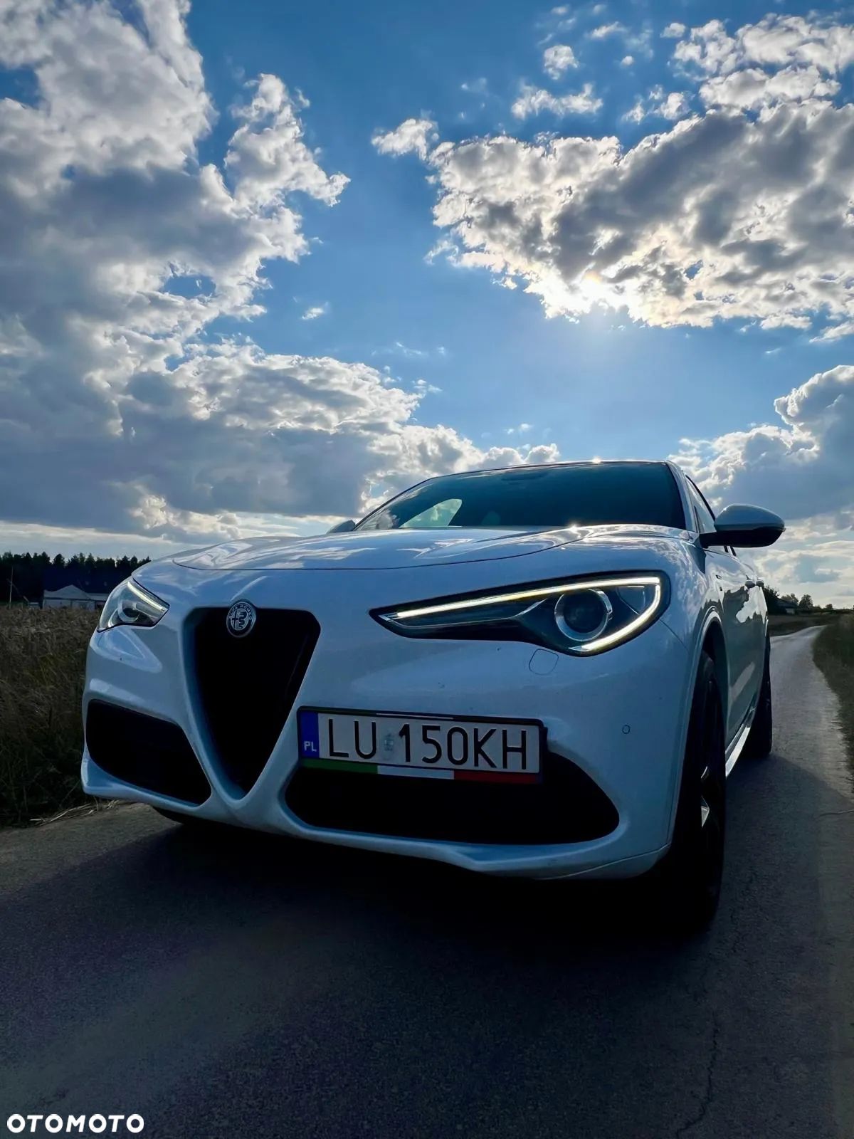 Alfa Romeo Stelvio 2.0 Turbo Veloce Q4 - 1