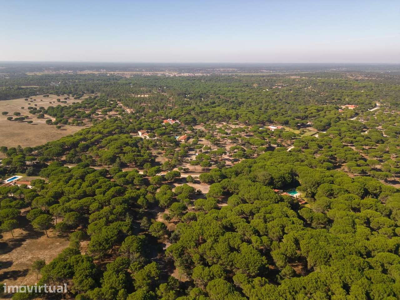 Terreno 2.6 ha, Santo Estevão, Benavente - Grande imagem: 3/24