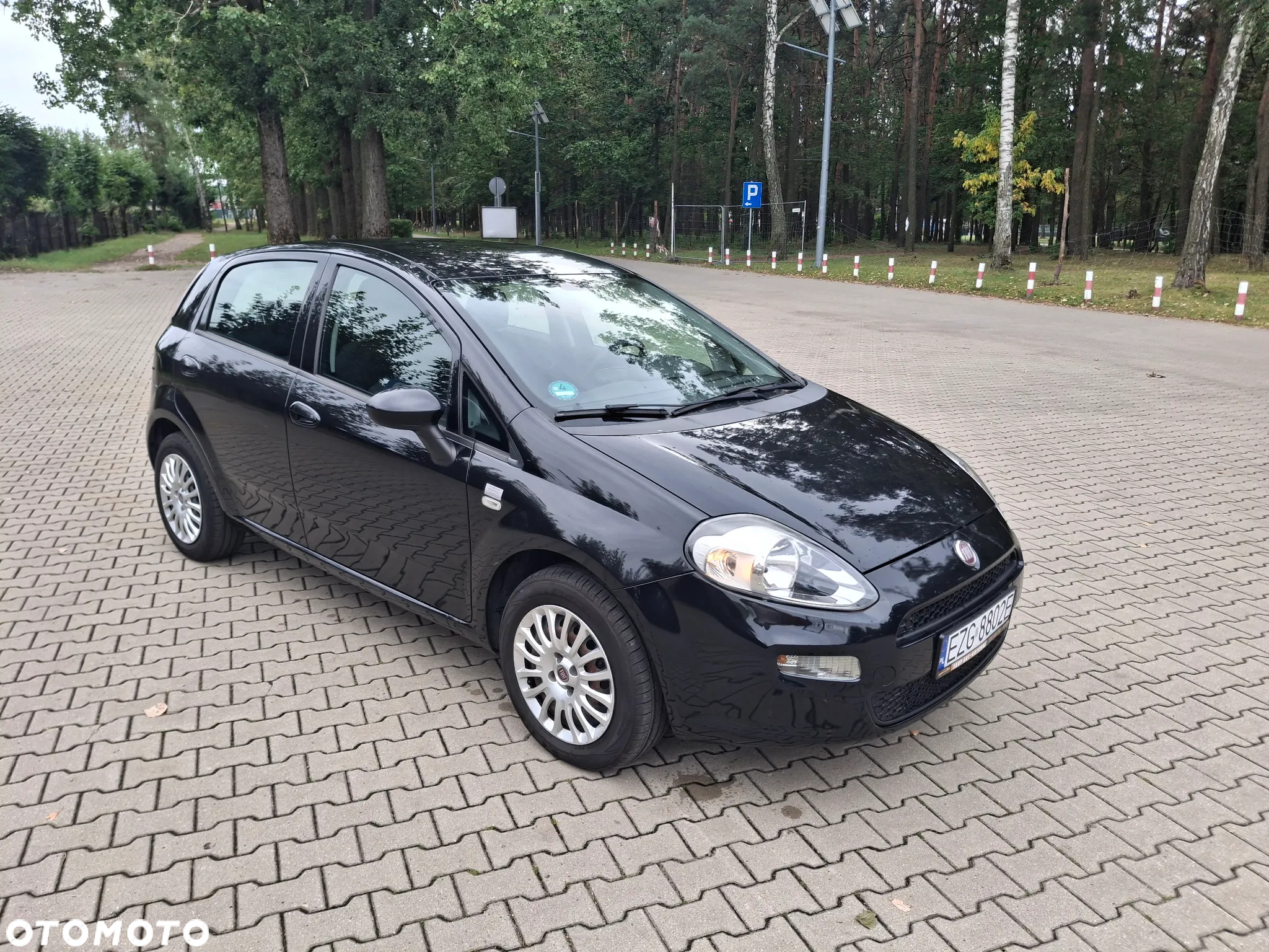 Fiat Punto 1.2 Fresh - 3