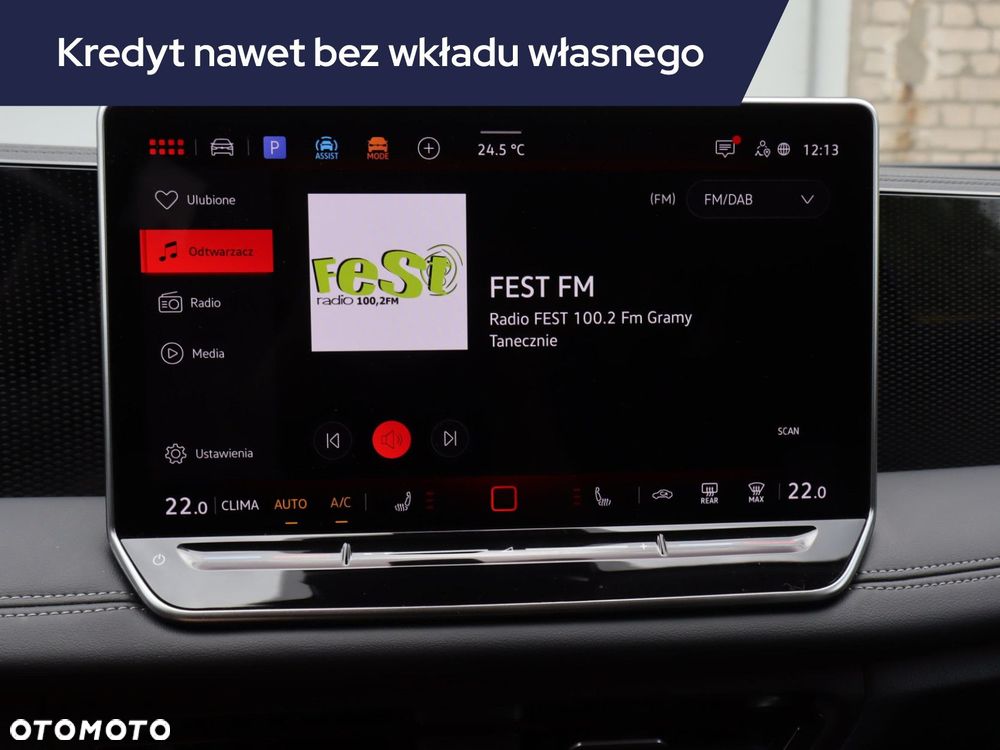 Volkswagen Tiguan - 19