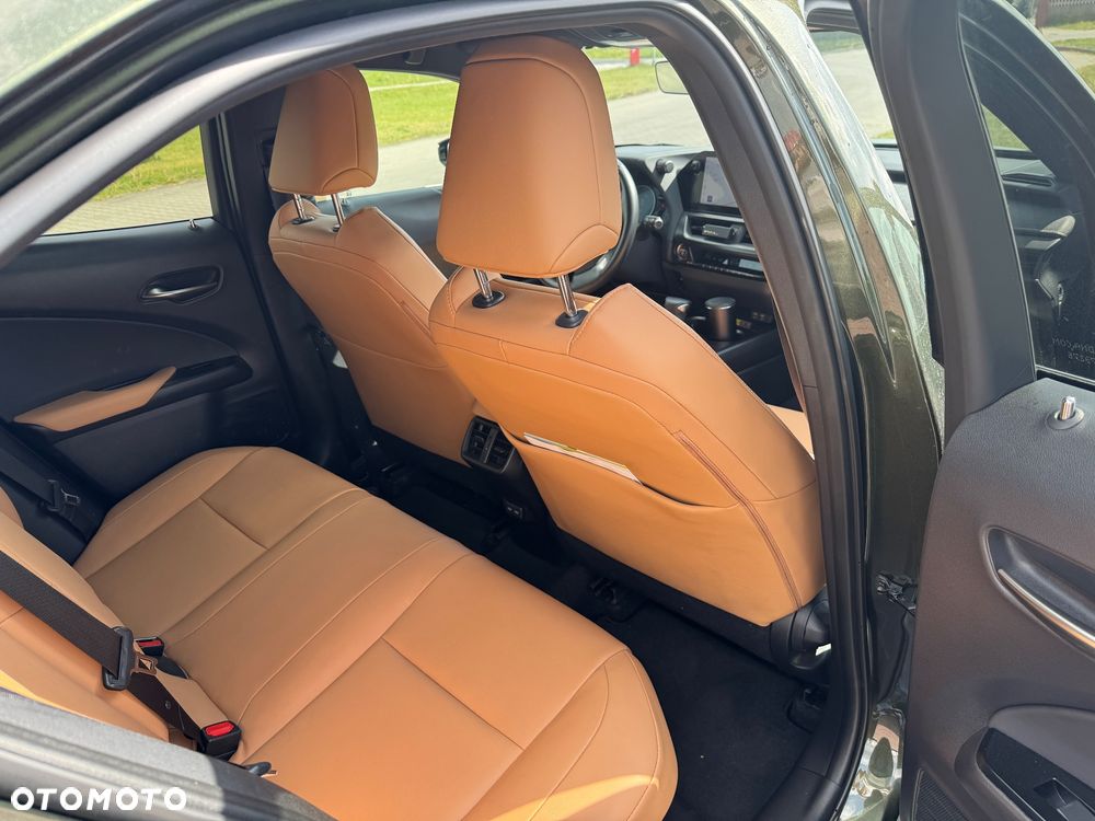 Lexus UX 250h F Sport 2WD - 24