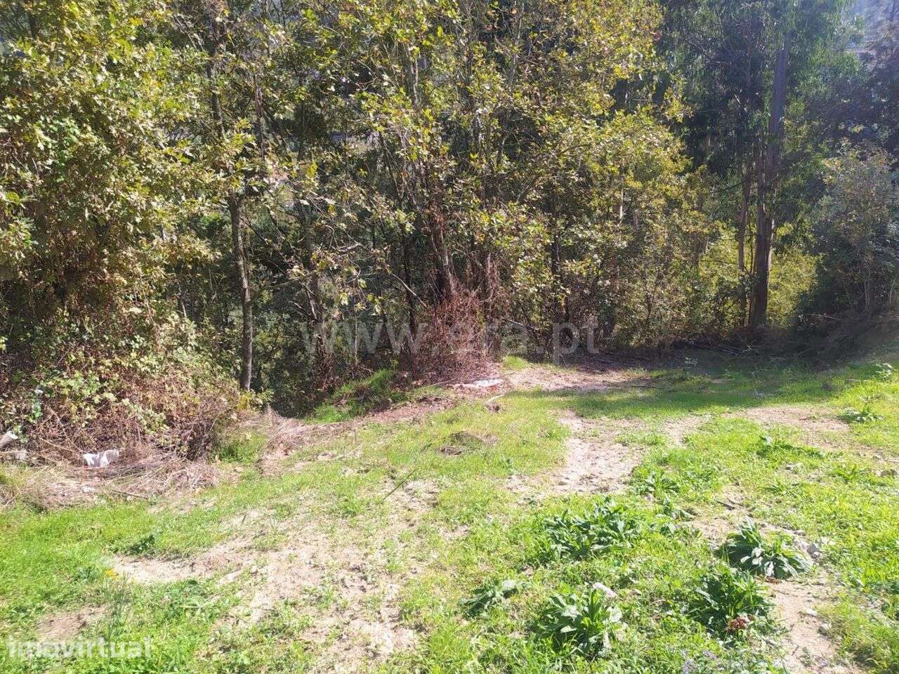 Terreno / Cinfães, Santiago de Piães - Grande imagem: 5/9