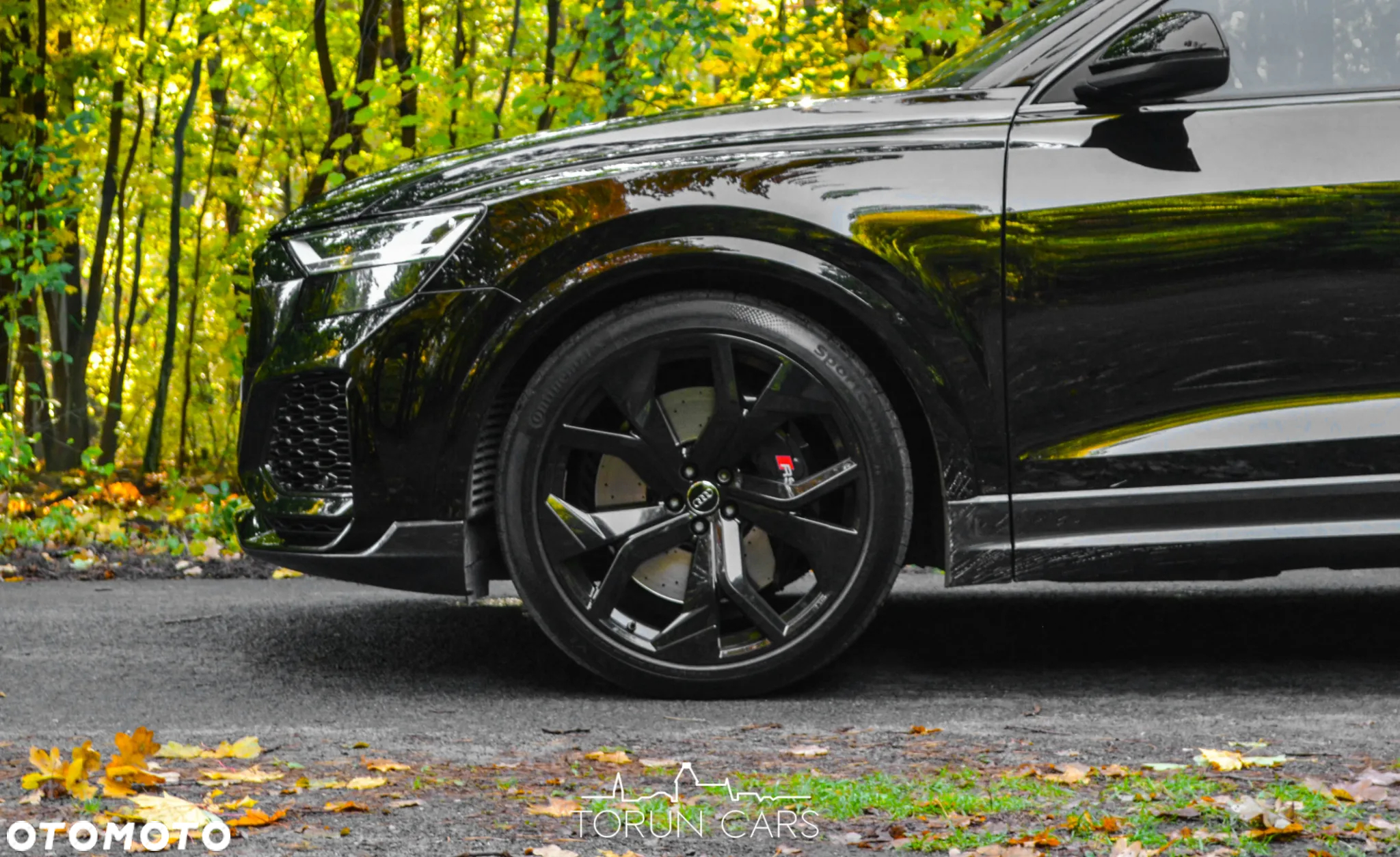 Audi RS Q8 - 6
