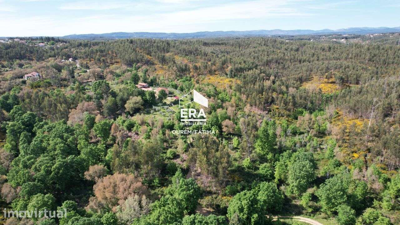 Terreno com Ruína em Pedrogão Grande - Grande imagem: 2/27