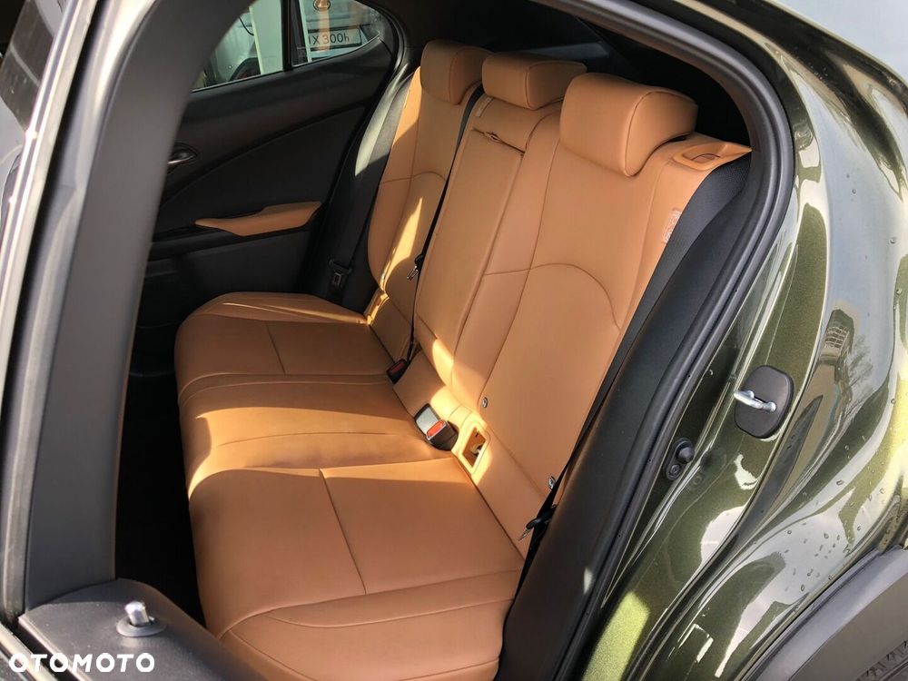 Lexus UX 250h GPF F Sport Design 2WD - 7