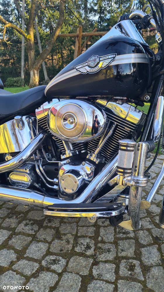 Harley-Davidson Softail Heritage Classic - 8