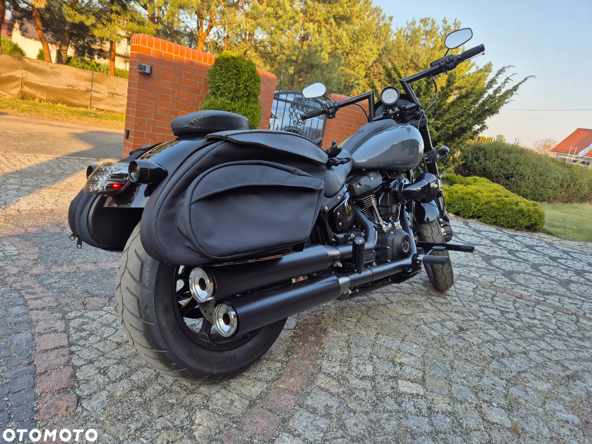 Harley-Davidson Softail Low Rider - 7