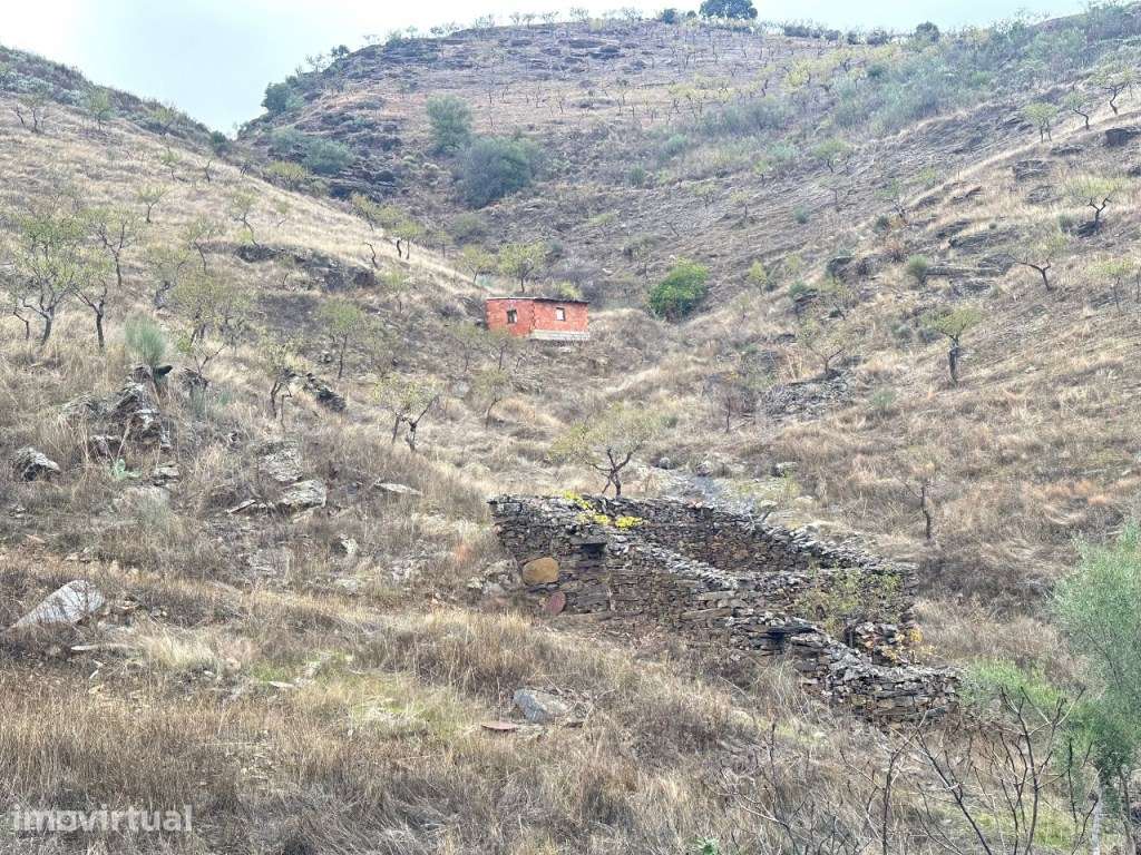 'Quinta de 16 Hectares no Coração do Parque Natural do Douro, em Fr... - Grande imagem: 5/19