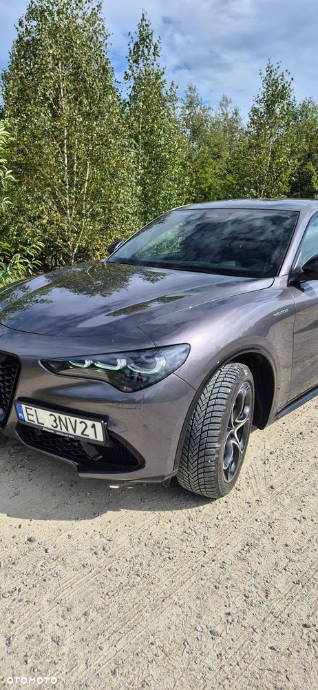 Alfa Romeo Stelvio 2.0 Turbo Veloce Q4 - 15