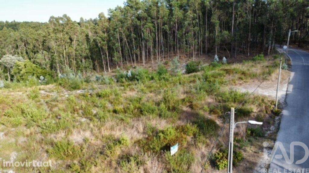 Terreno para construção em Marrazes e Barosa - Grande imagem: 5/9