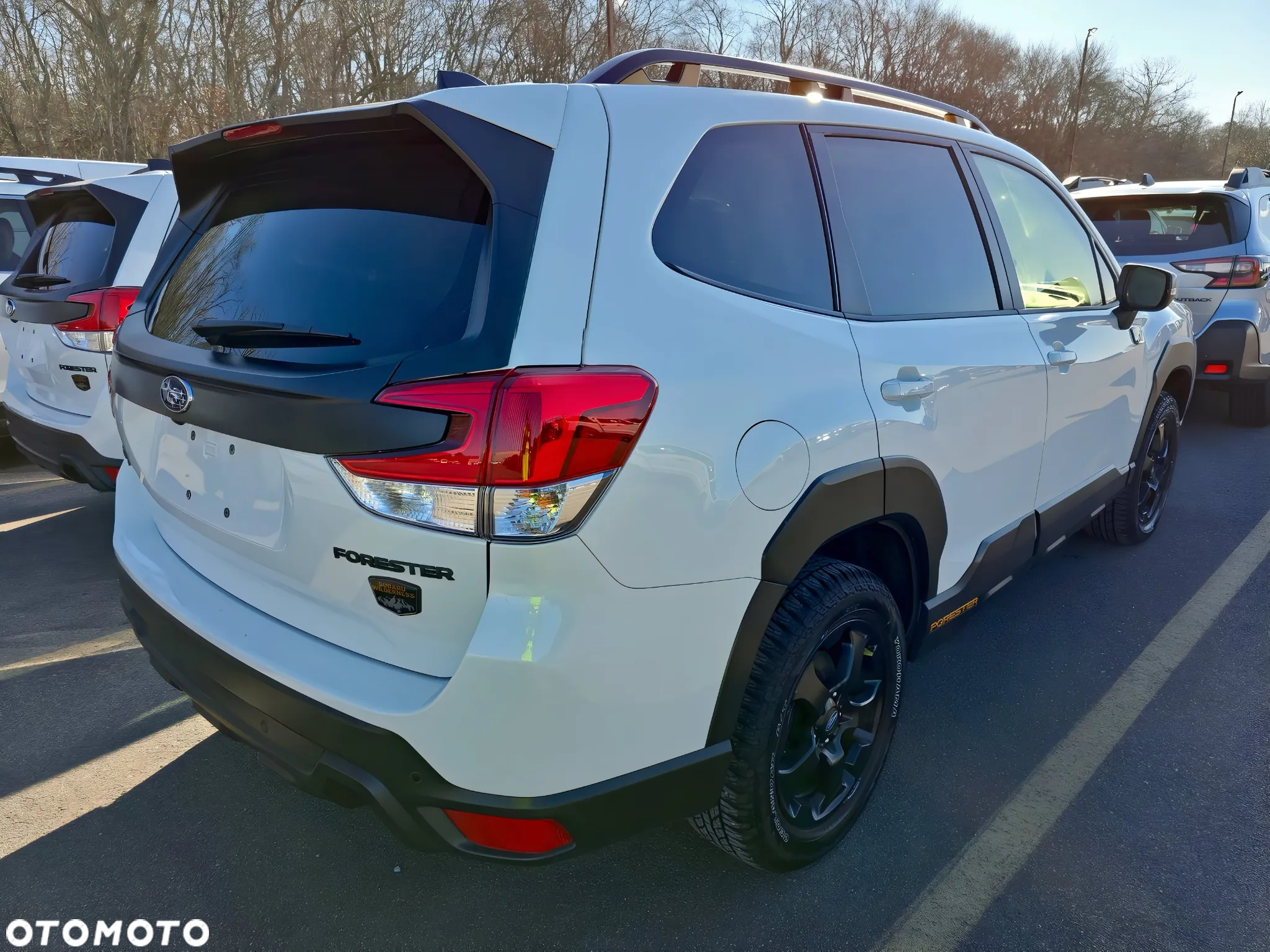 Subaru Forester - 6