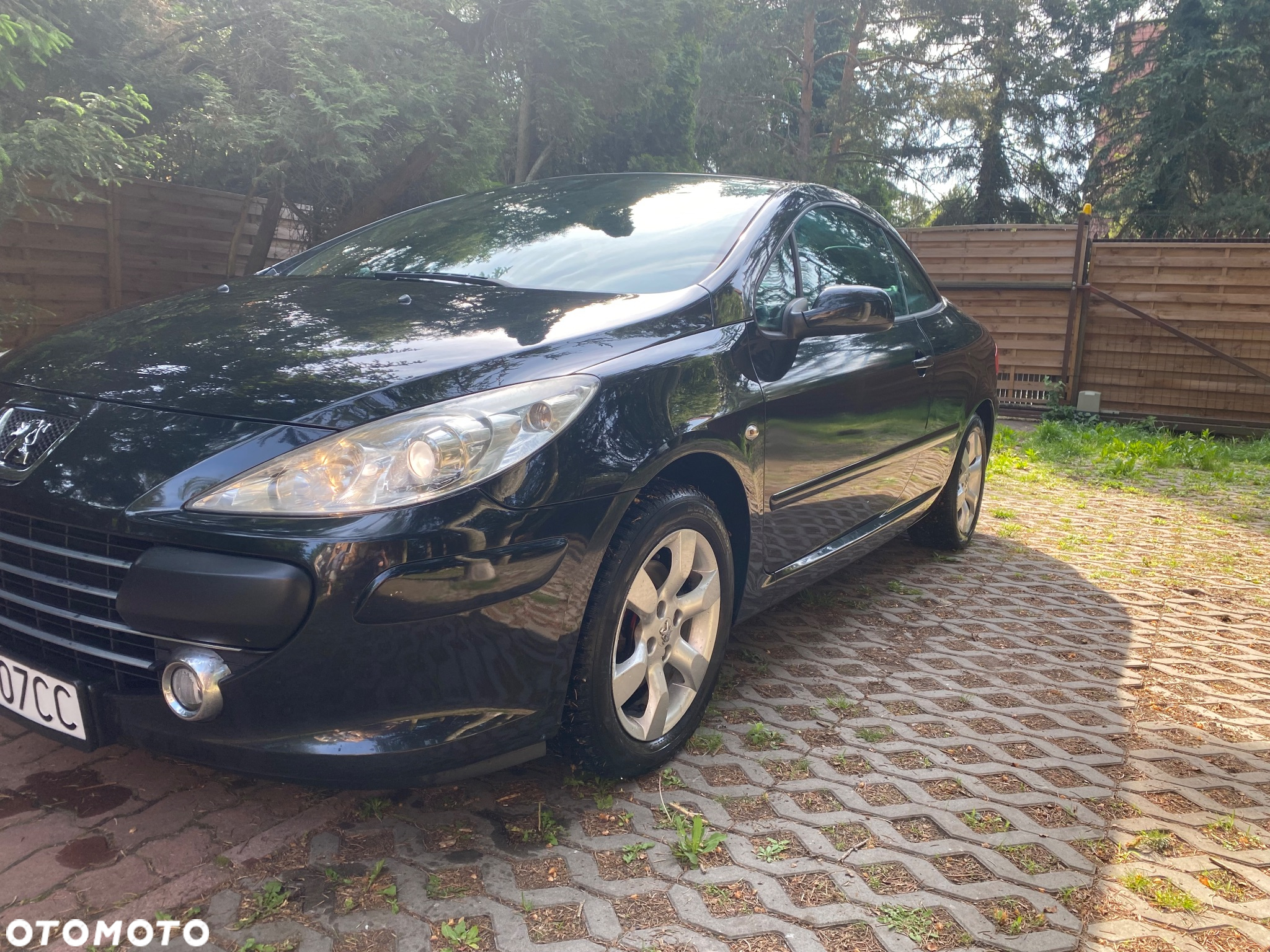 Peugeot 307 CC 2.0 Intense - 4