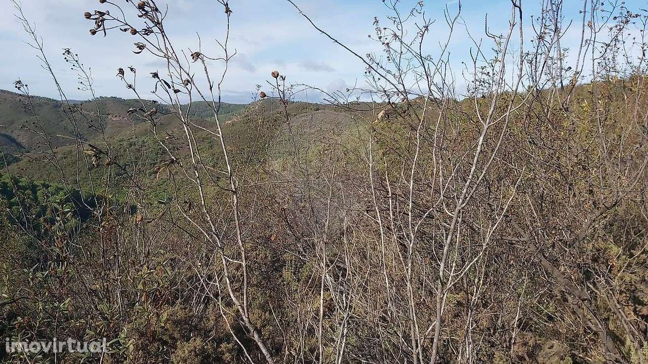 Terreno  para venda - Grande imagem: 5/7