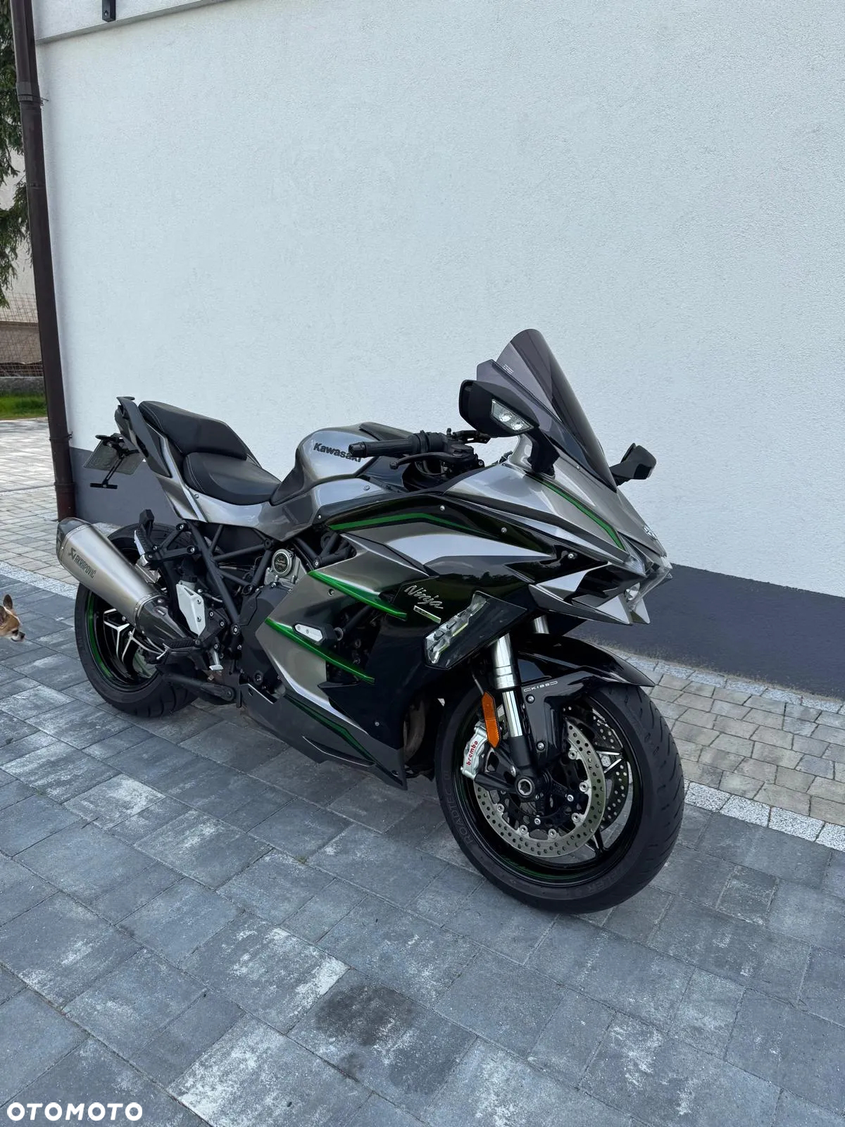 Kawasaki Ninja H2 SX - 4