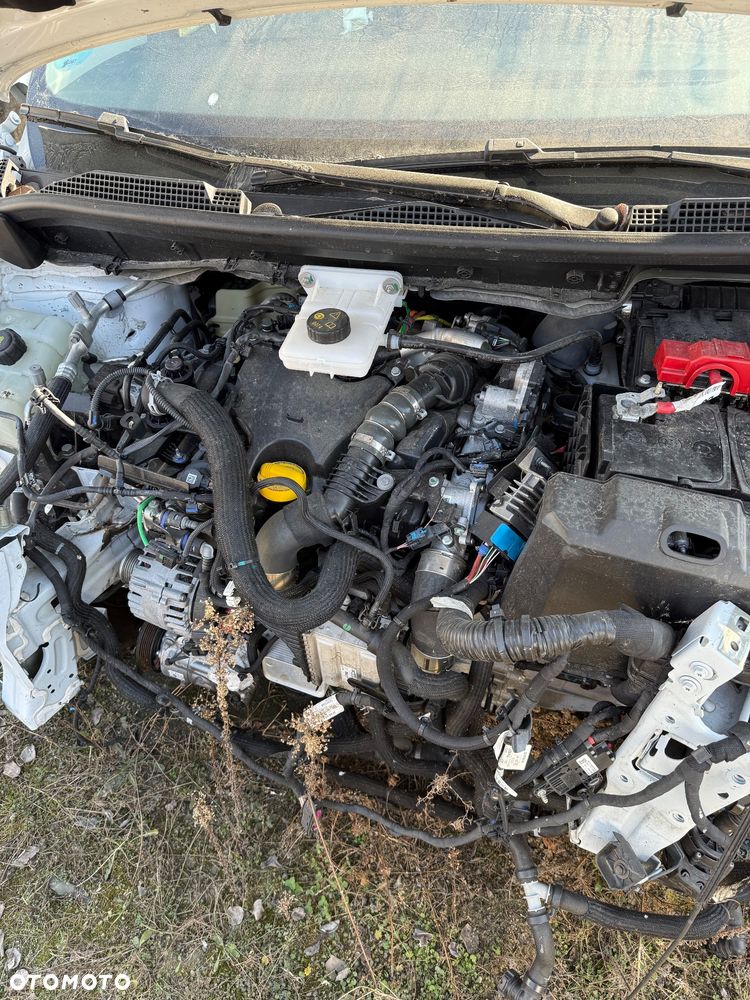Renault kangoo - 2