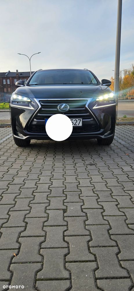 Lexus NX - 2
