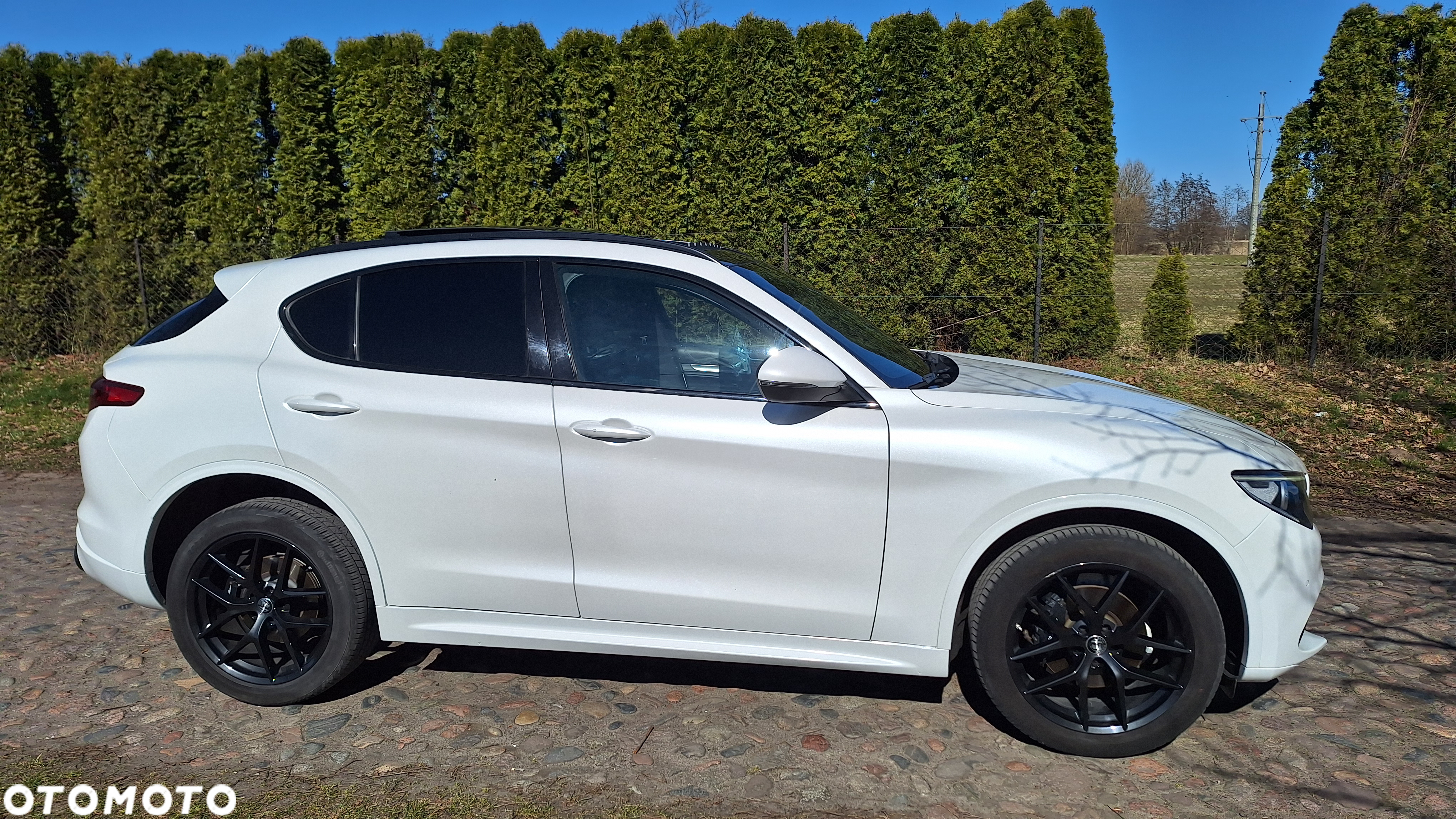 Alfa Romeo Stelvio 2.0 Turbo 16V AT8-Q4 Veloce Ti - 12
