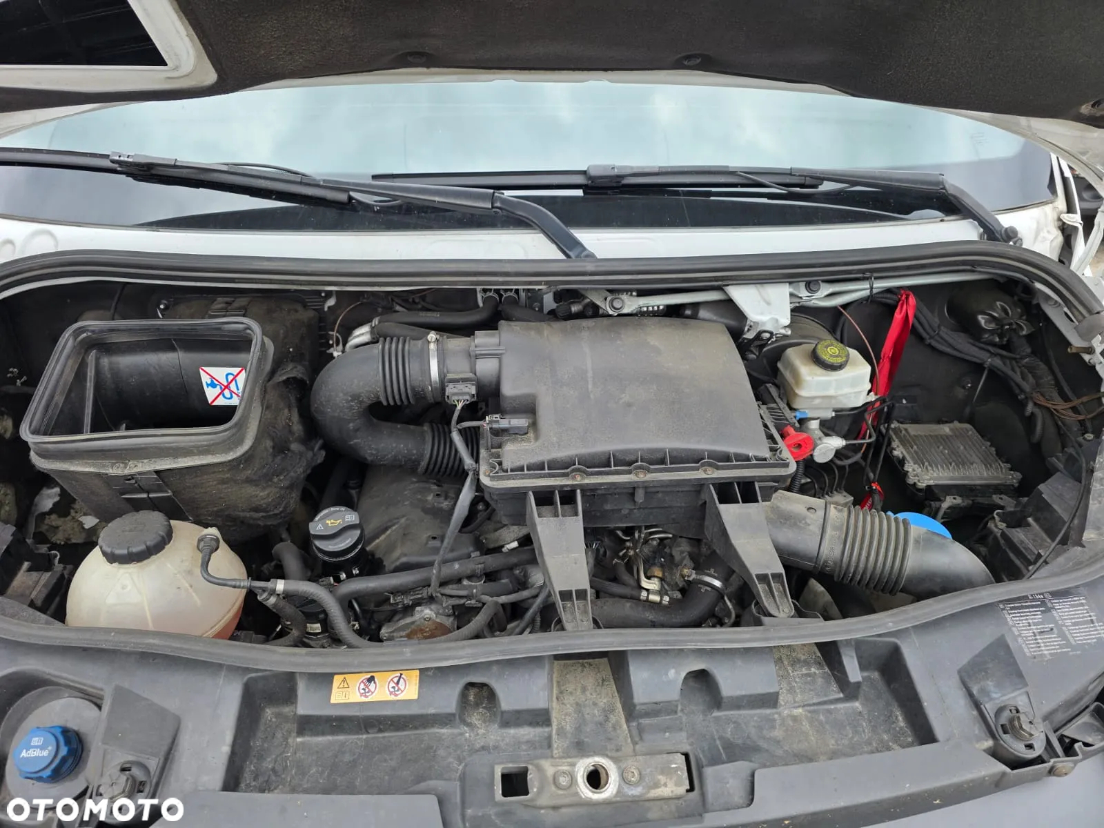 Mercedes-Benz 319 Chłodnia Mroźnia Maxi Balszak Krajowy Automat Silnik 3l 190 KM + 230V - 21