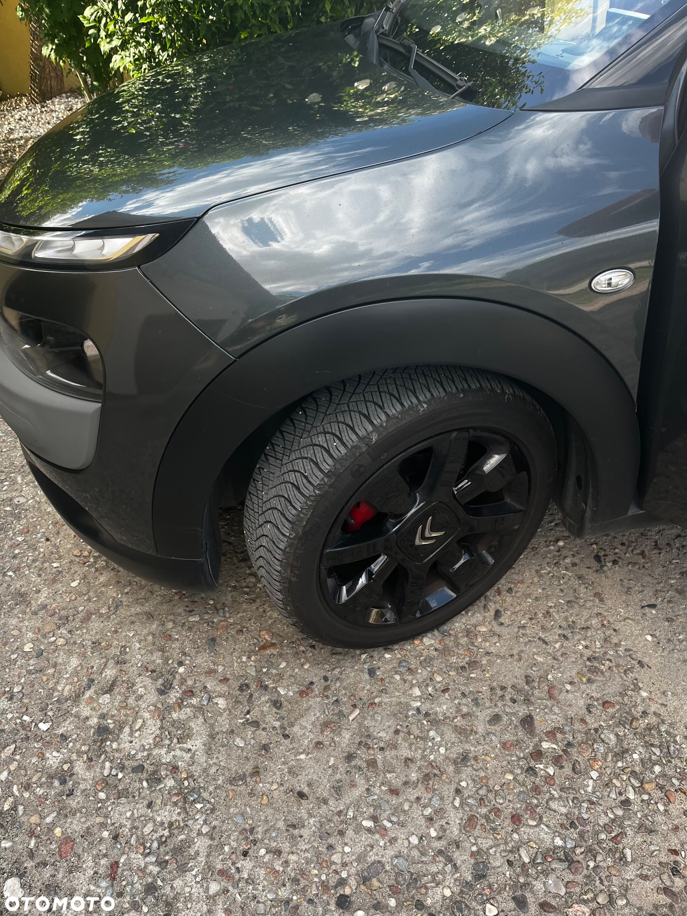 Citroën C4 Cactus 1.6 BlueHDi Shine - 6