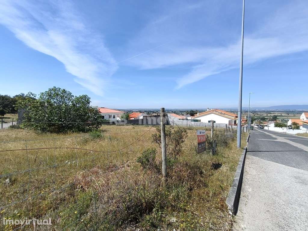 Lote de Terreno para Construção | Carregueira - Chamusca - Grande imagem: 3/12