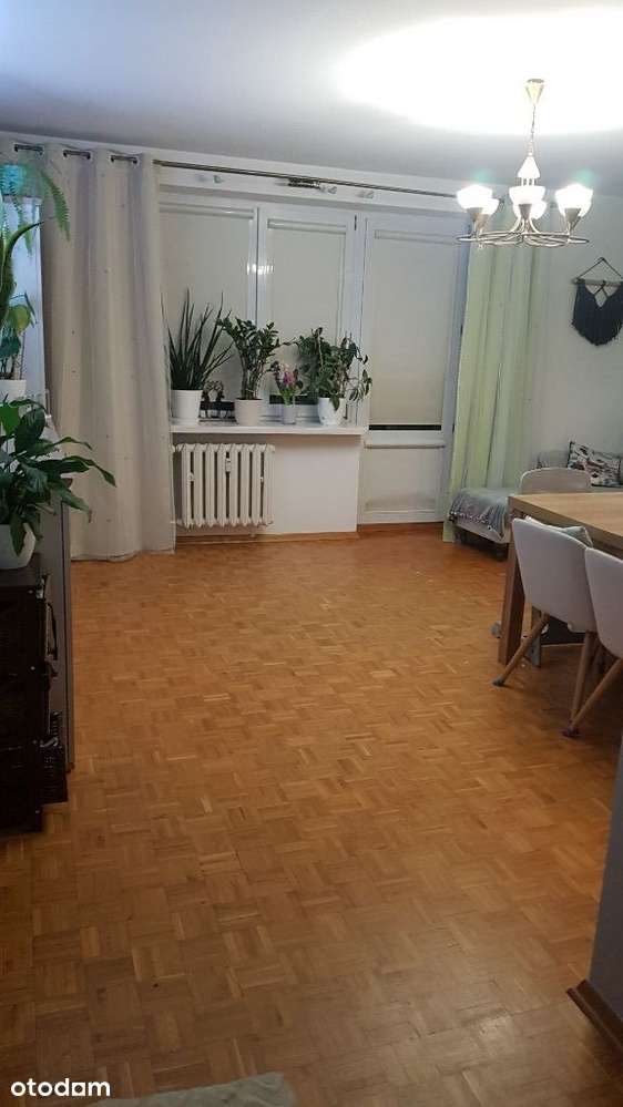 Mieszkanie 3 pokoje, p. 4/5, os. Borki