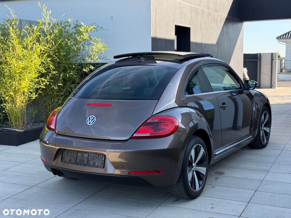 Volkswagen Beetle - 9
