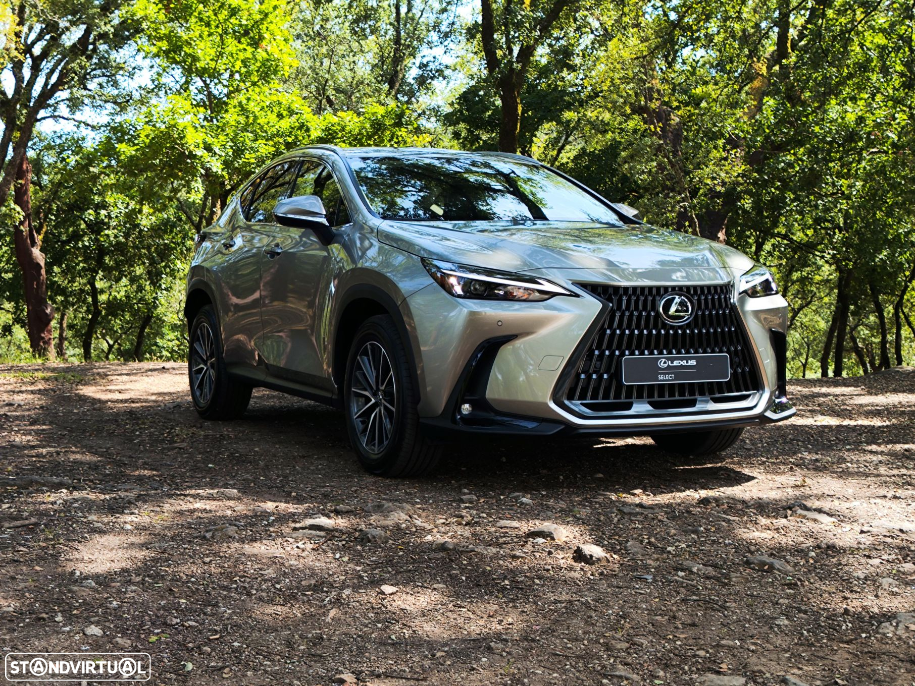 Lexus NX 450h+ - 3