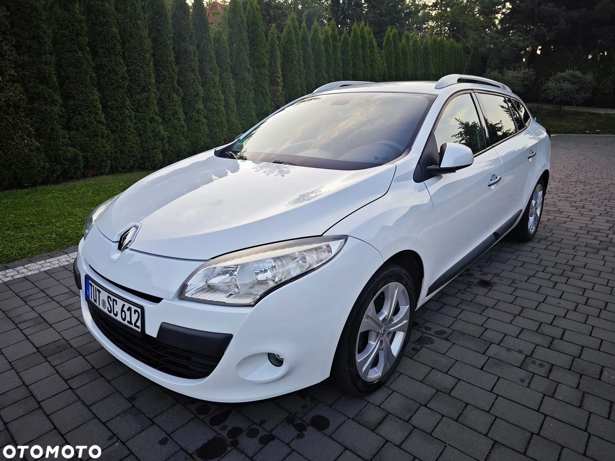 Renault Megane 1.6 16V Color Edition - 1