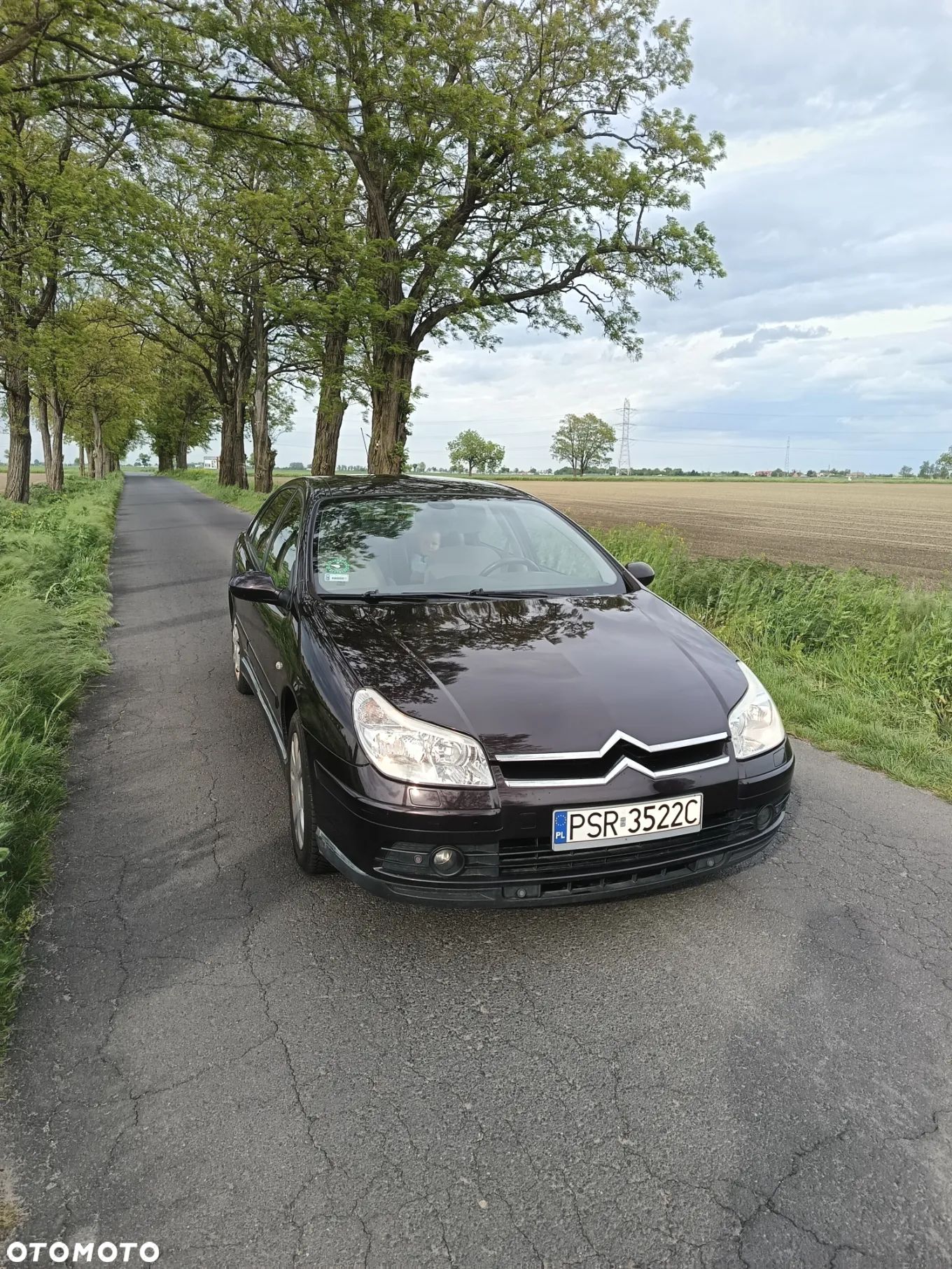 Citroën C5 II 1.8i 16V SX - 1