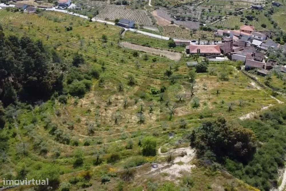 Quinta Rústica em Pegarinhos – Alijó Oportunidade única no coração do - Grande imagem: 3/33