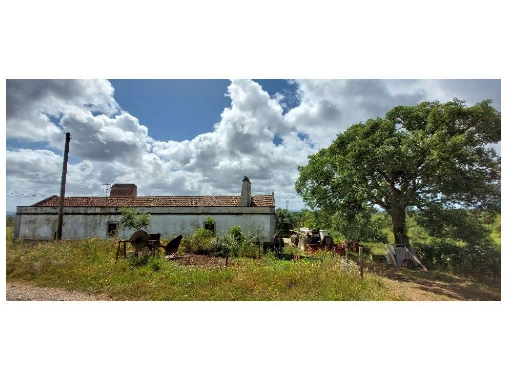 HERDADE (19ha) - Grande imagem: 5/15