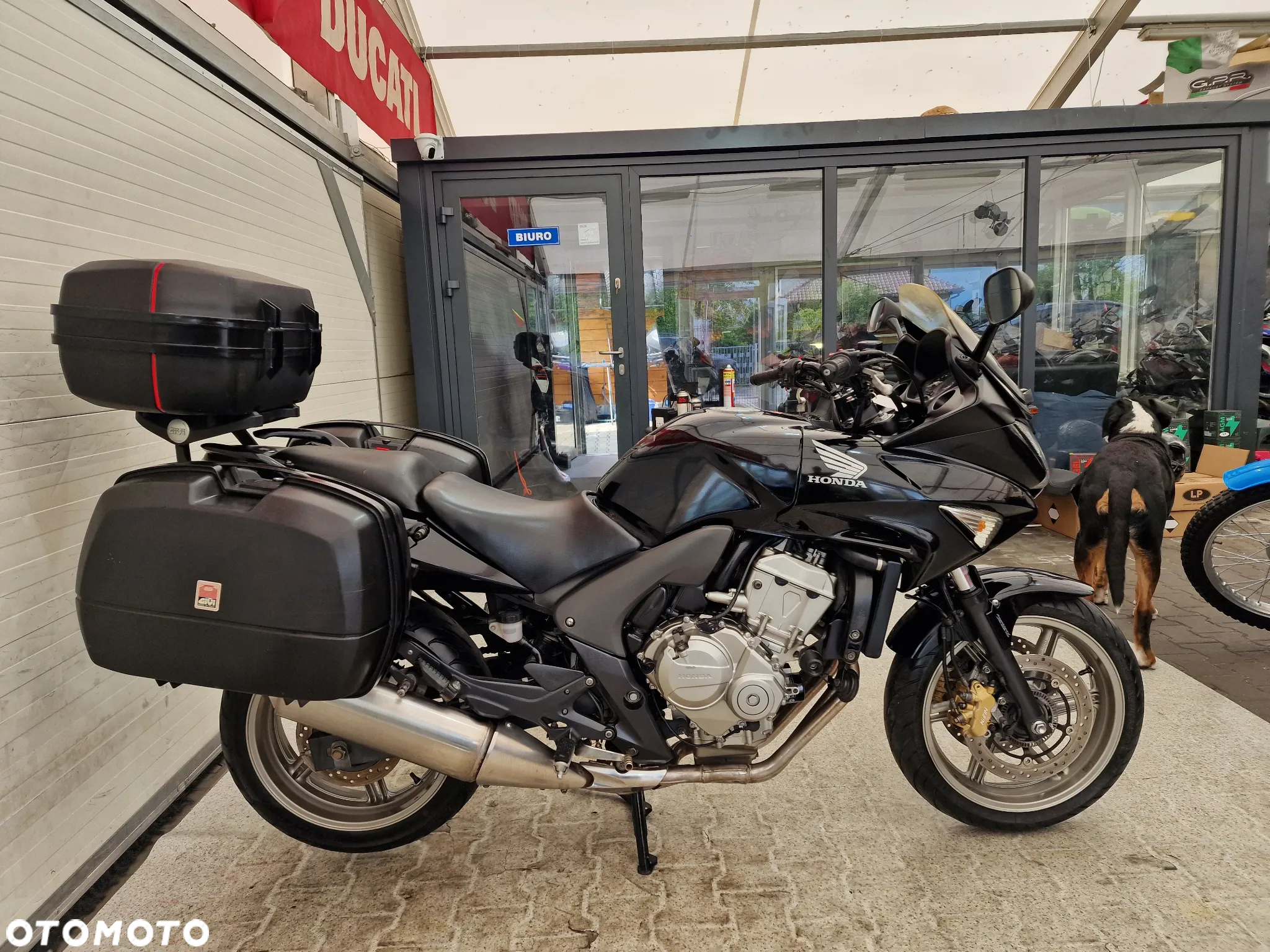 Honda CBF - 19