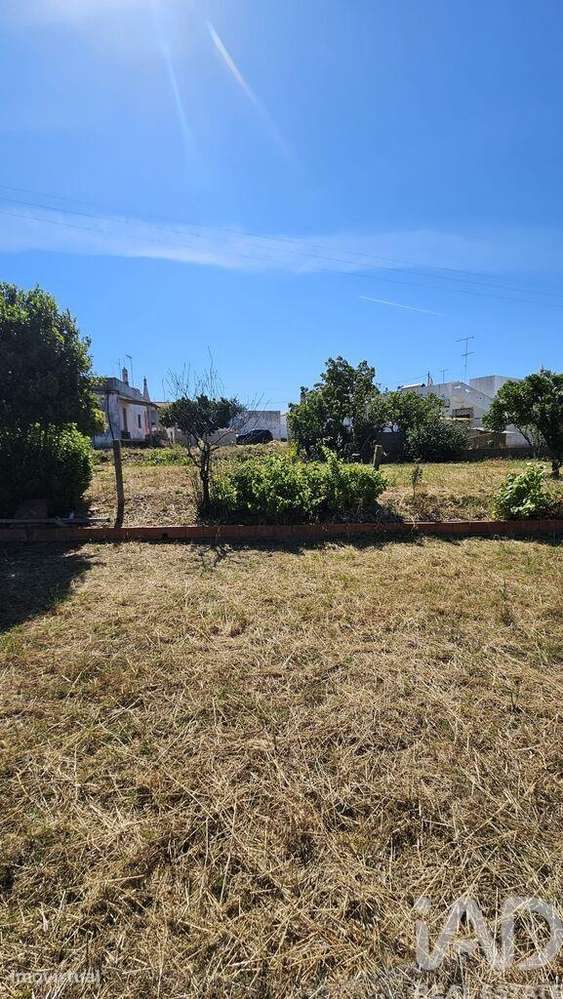 Terreno em Almancil de 1265,00 m2 - Grande imagem: 3/7
